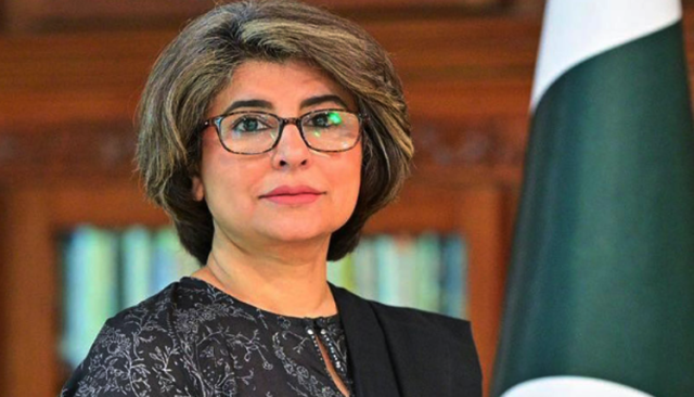 پاکستان پر عائد امریکی ٹیرف معاشی بنیادوں پر نہیں: سیکرٹری خارجہ