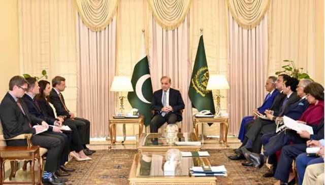 وزیرِ اعظم شہباز شریف سے پاکستان منرلز انوسٹمنٹ فورم میں شریک امریکی وفد کی ملاقات،تجارت، سرمایہ کاری سمیت مختلف امور پرتبادلہ خیال
