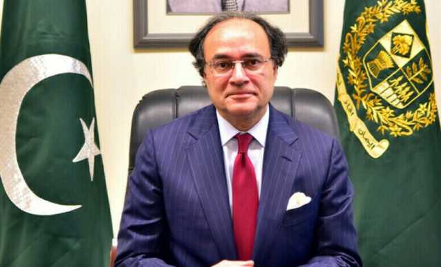 کاروباری برادری رشوت دینا بند کردے، ایف بی آر میں اچھے افسران لگائیں گے، وزیر خزانہ