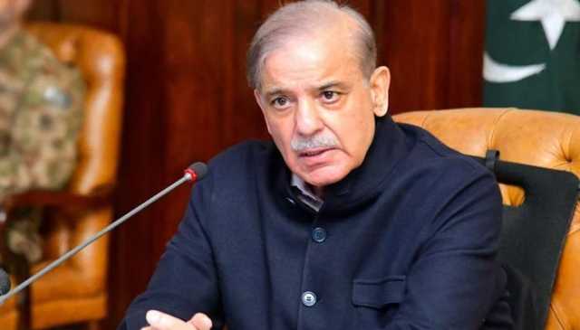 وزیرِ اعظم کی آذربائیجان کے صدارتی محل آمد، پر تپاک استقبال، گارڈ آف آنر پیش