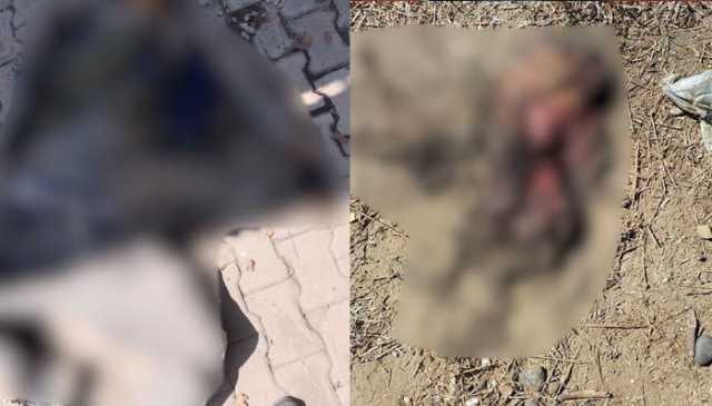 بنوں حملہ: شہید ہونے والے 12 افراد میں سے 6 کا تعلق ایک ہی گھرانے سے ہے
